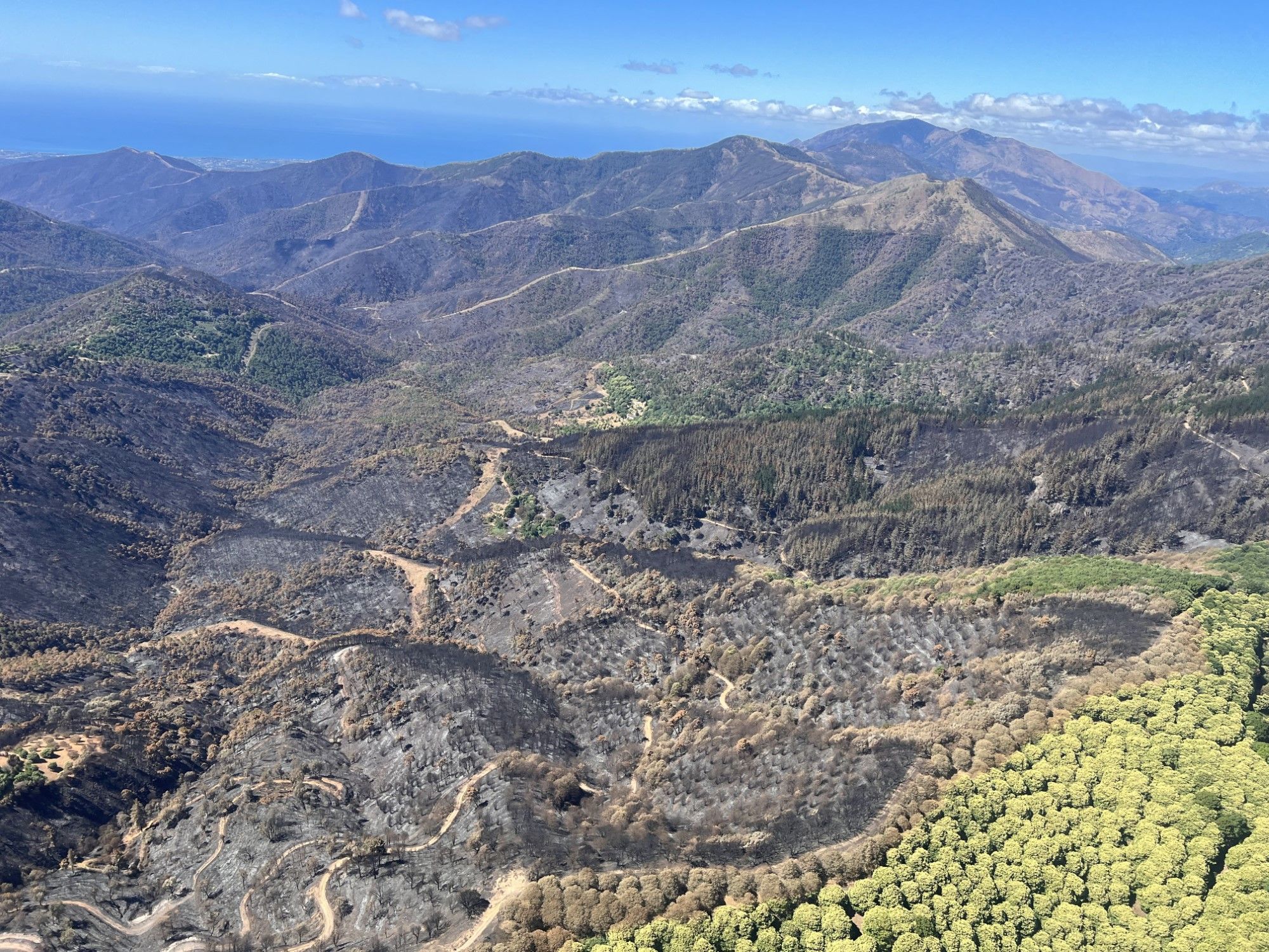 Así ha quedado la zona afectada por el incendio de Pujerra, ya extinguido