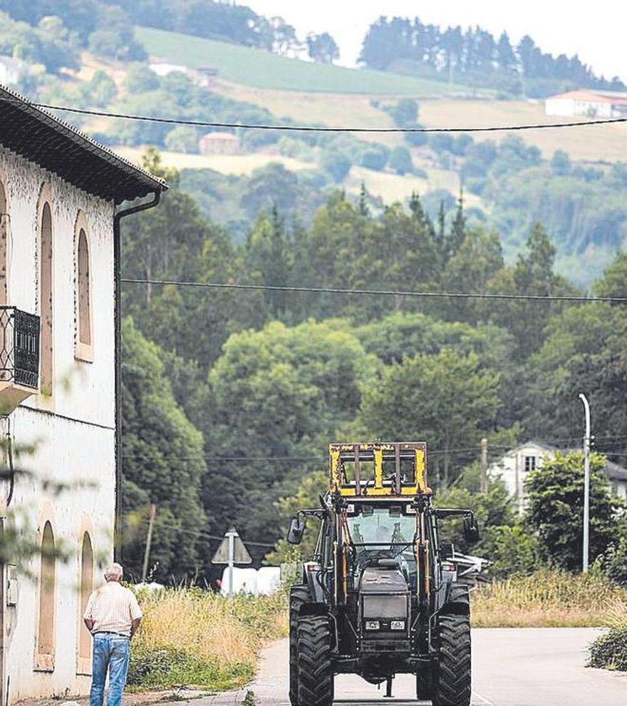 Tineo, el gigante ganadero del Suroccidente