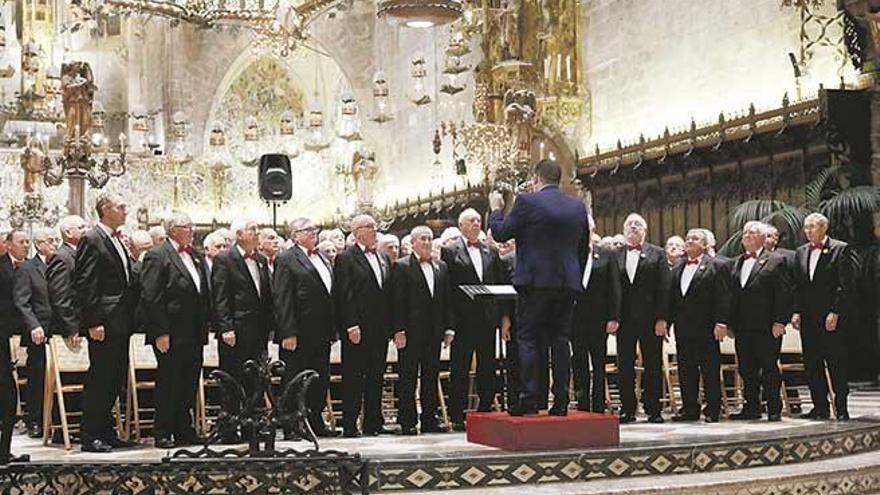 Voces por la solidaridad en la Catedral