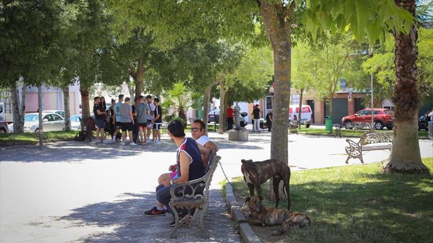 Llera pide más vigilancia policial de noche tras el intento de secuestro de una niña