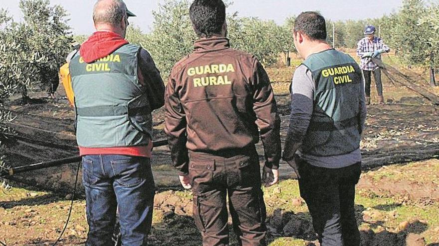 Burriana aumenta los controles en el campo para evitar robos