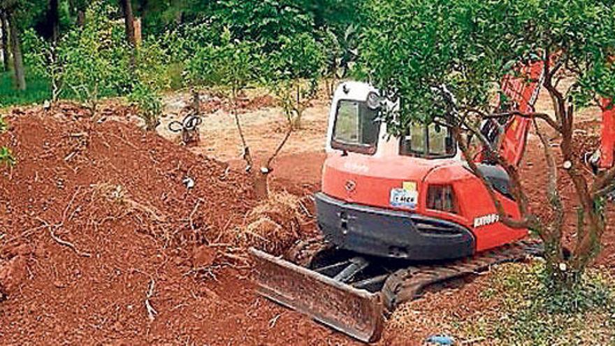 Las obras de la discordia.