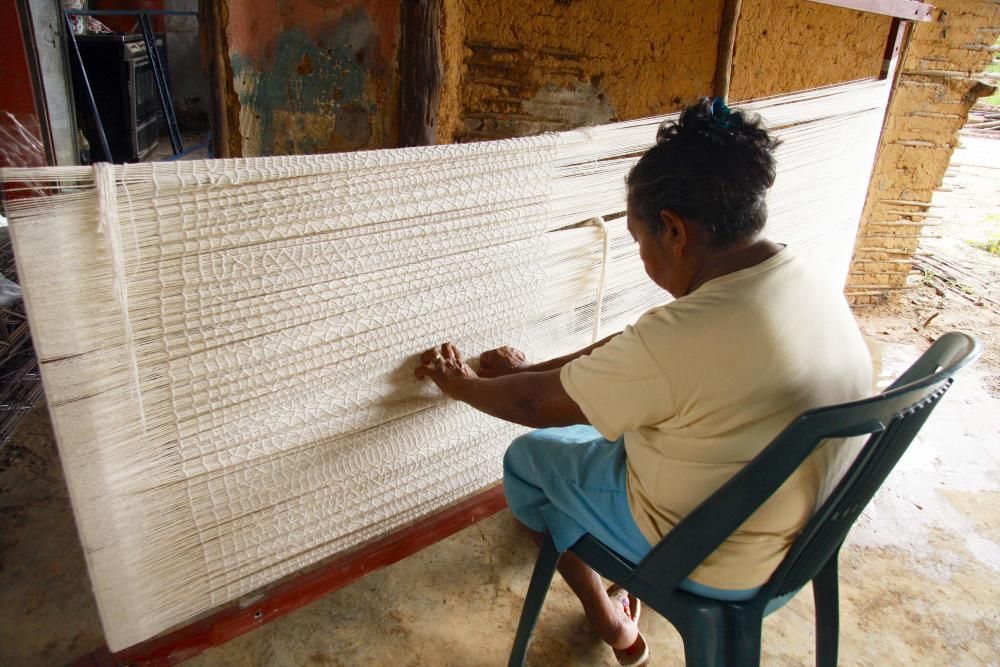 Venezuela - Conocimientos y técnicas tradicionales vinculadas al cultivo y procesamiento de la curagua.