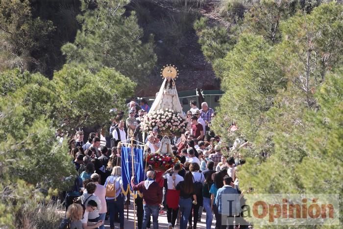 Romería de La Hoya (II)