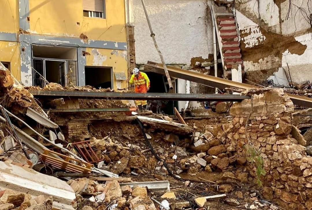 Así trabaja la Unidad Canina de Rescate del Principado de Asturias en Valencia