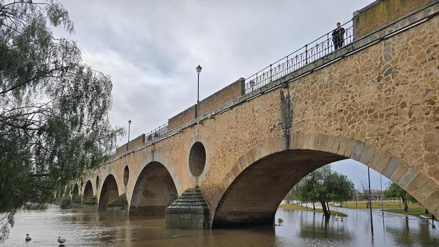 El joven hallado muerto en Badajoz se habría escondido bajo el puente de Palmas tras huir de la policía local