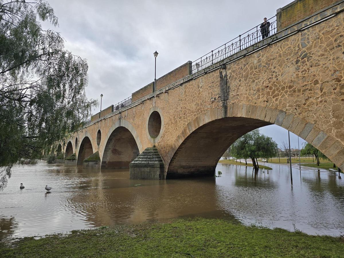 Zona del puente de Palmas donde pasada la medianoche del domingo fue hallado el cuerpo sin vida del joven.