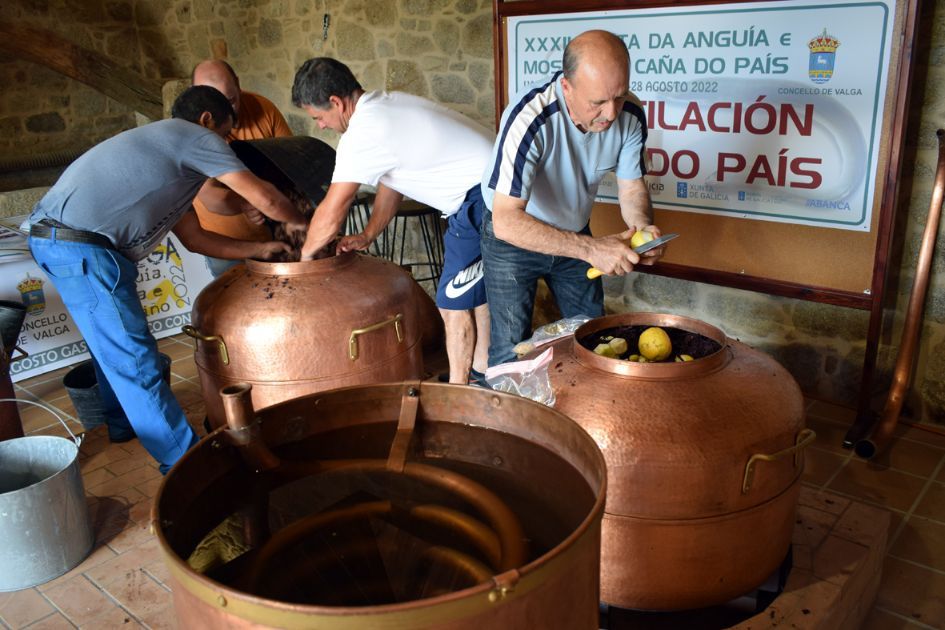 Uno de los momentos de la Festa da Anguía e Mostra da Caña do País.