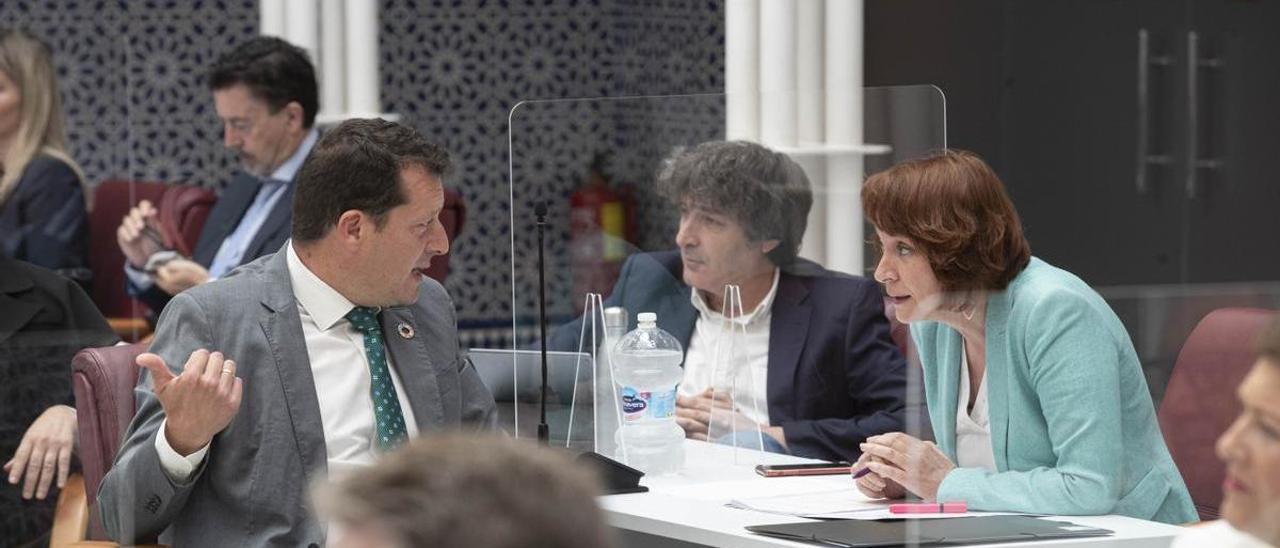 Manuel Sevilla y María Marín, en la Asamblea.