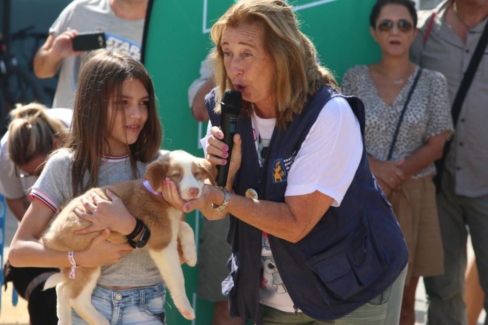 El Parque Huelin ha acogido la primera edición de un evento destinado a las mascotas y a sus dueños, con carreras en diversas categorías, actividades gratuitas y numerosos stands