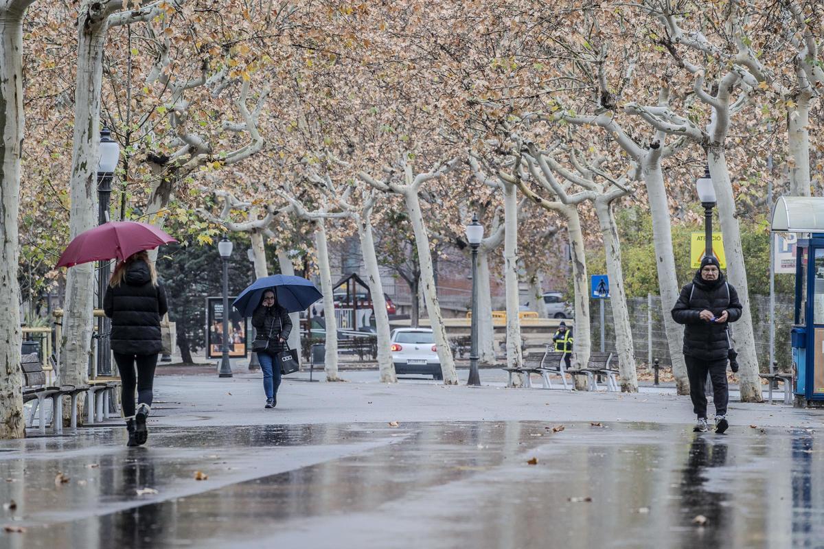 Sector del Passeig, entre la plaça de Neus Català i la Bonavista, on es farà la tala