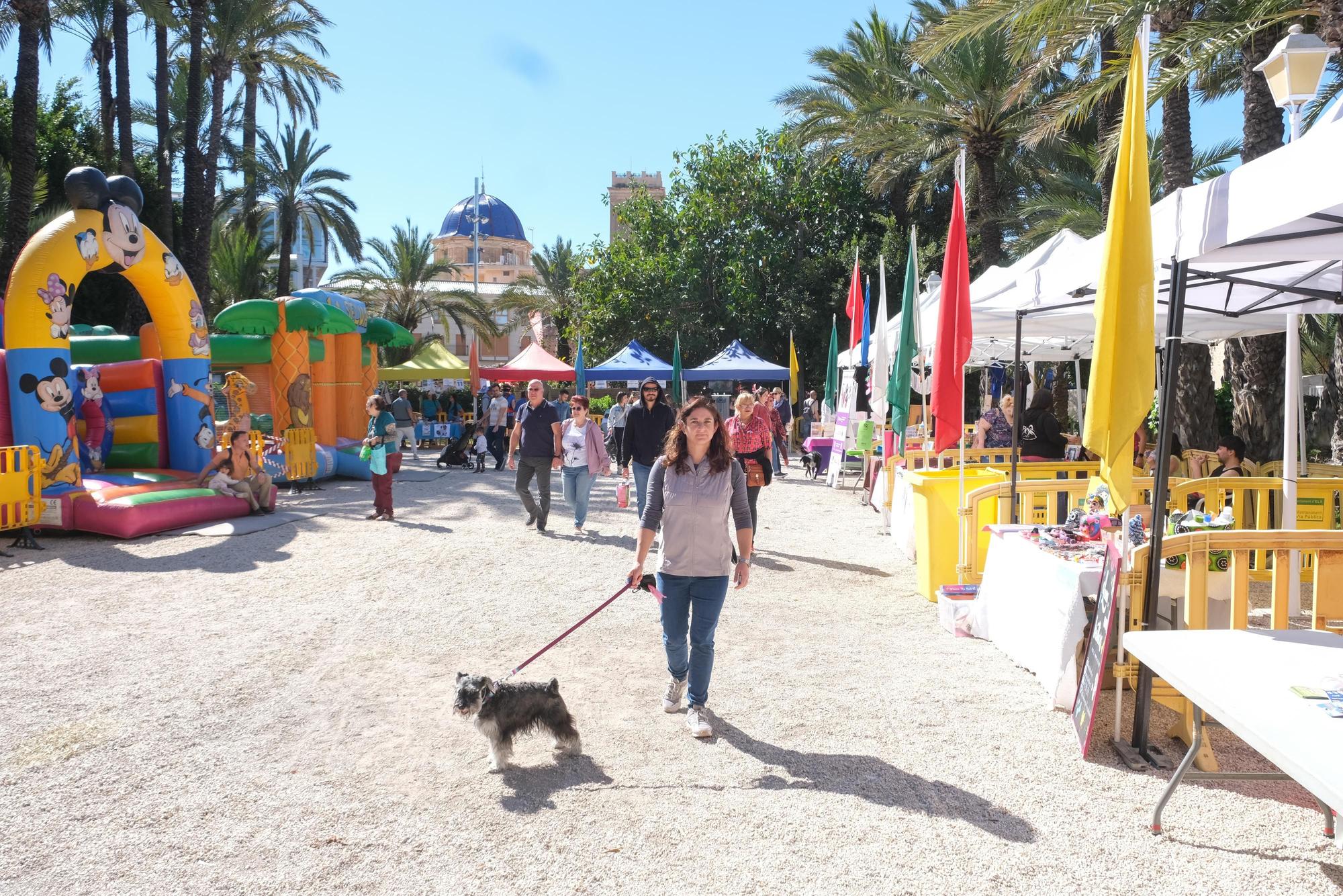 Fiesta de las mascotas en Elche