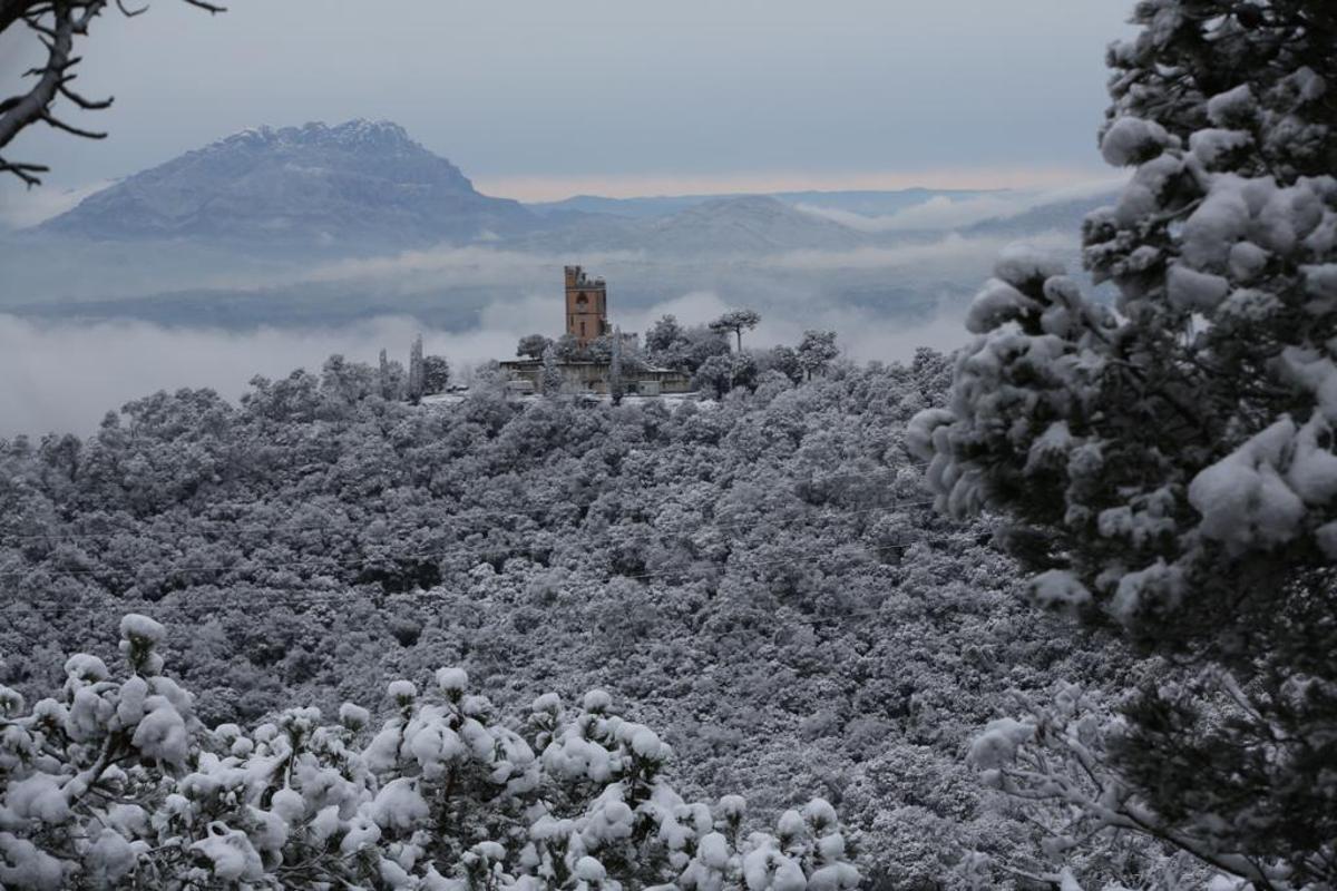 La nieve llega a Barcelona: Collserola, cubierta de blanco