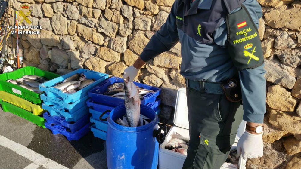 La Guardia Civil requisa más de 400 kilos de pescado ilegal en la costa de Altea