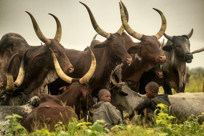 Nómadas, África