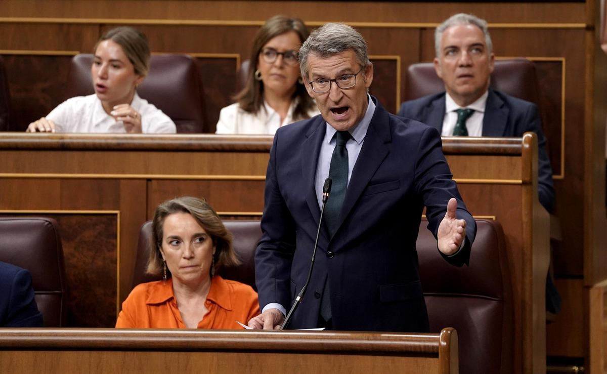 Sesión de control al Gobierno en el Congreso de los Diputados.