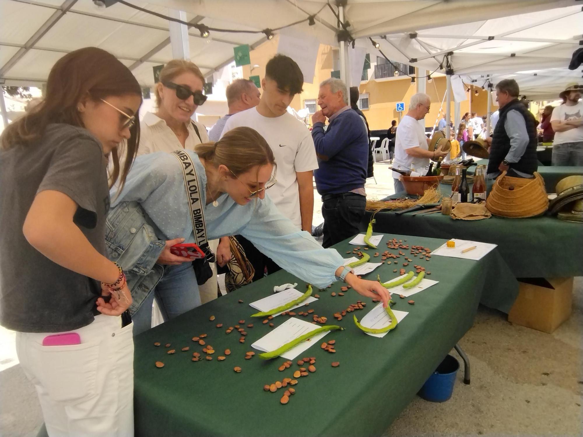 Triunfa el gran festival gastronómico de la "tapifava" en Benitatxell (imágenes)