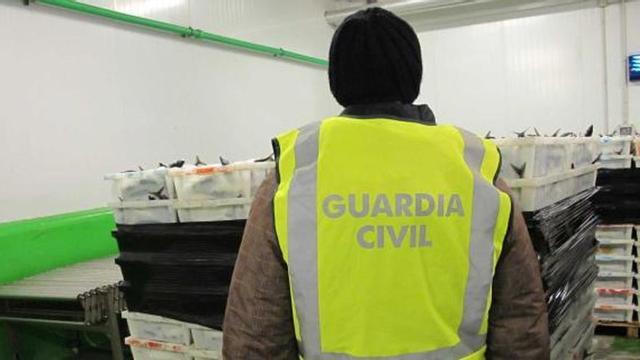 Un agente de la Guardia Civil, de espaldas, revisa las cajas incautadas.