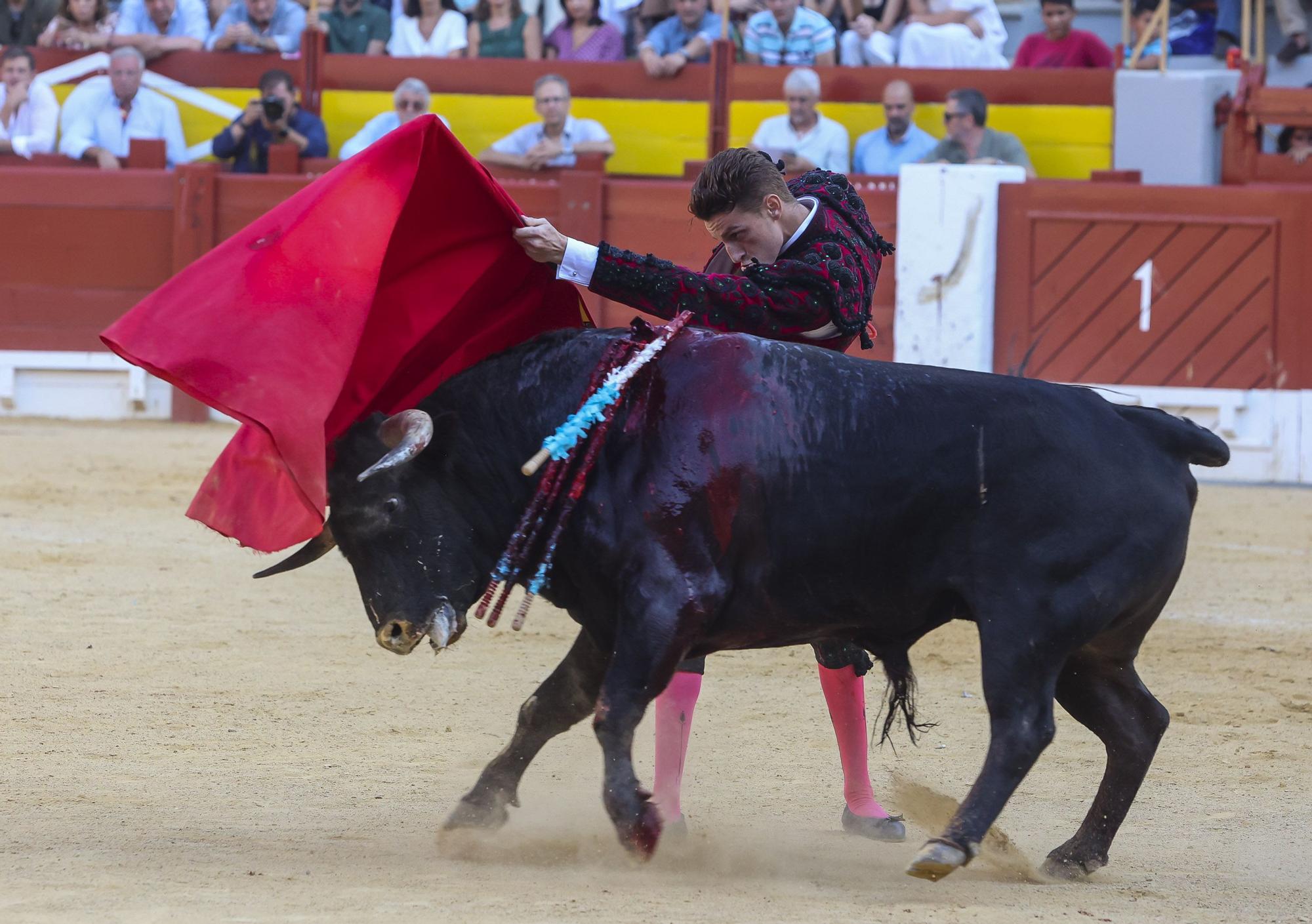 Novillada de Zacarías Moreno para cerrar la Feria de Hogueras