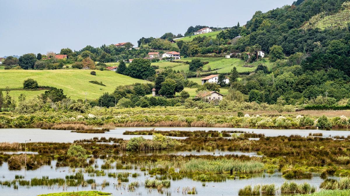 Urdaibai, un estuario de leyenda y buenas vistas