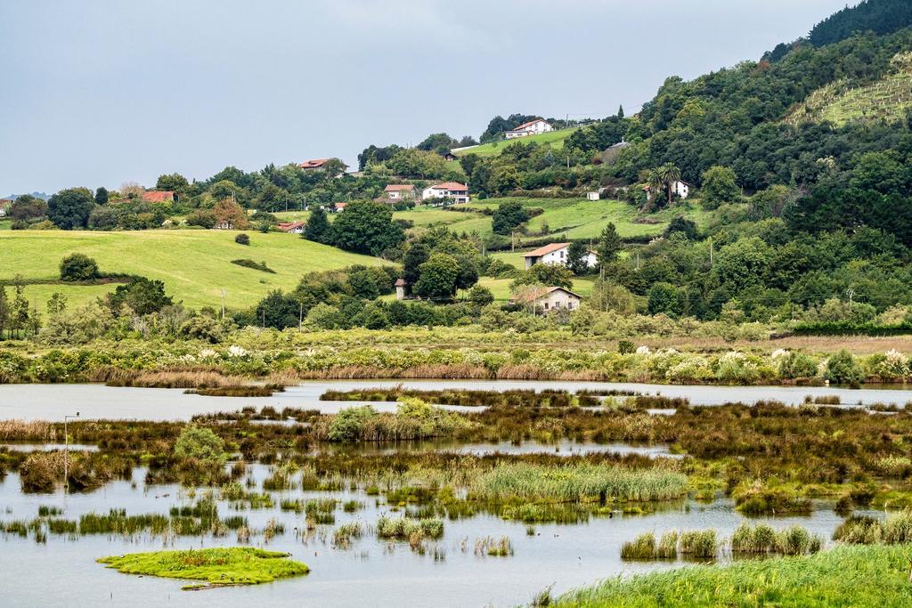 Urdaibai, País Vasco