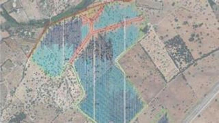 Polémica por el proyecto de un parque fotovoltaico que ocupará más de 52 hectáreas afectando a terrenos en Inca y Selva