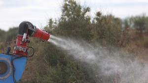 Un pick up nebulizador interviene en la campaña para el tratamiento contra los mosquitos que propagan el virus del Nilo