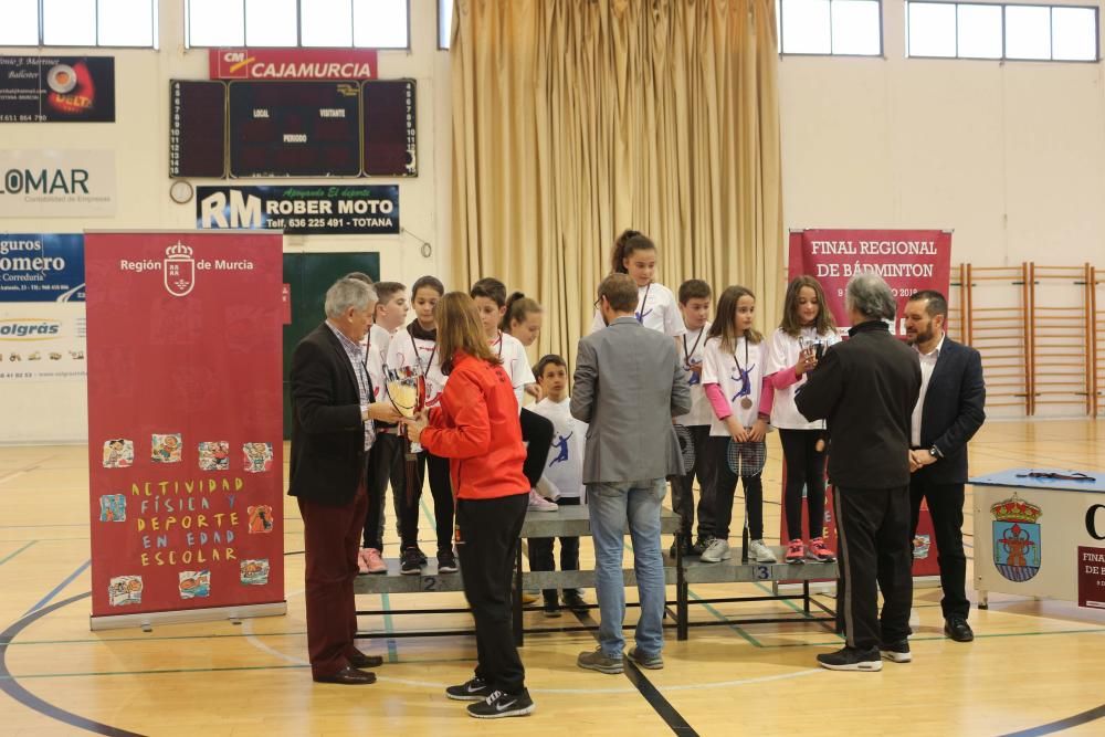 Final Regional de bádminton de Deporte Escolar