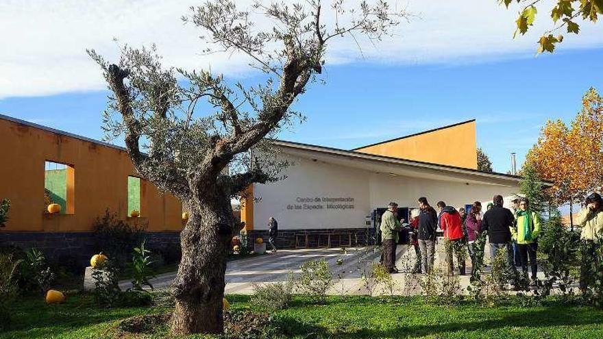 Centro de Interpretación de Micología en Rabanales.