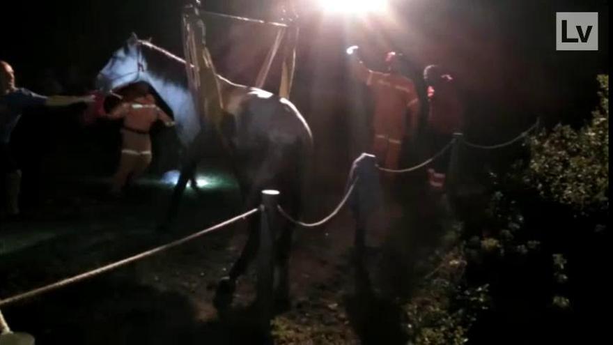 Rescatan a un caballo que cayó a un pozo en Ayora