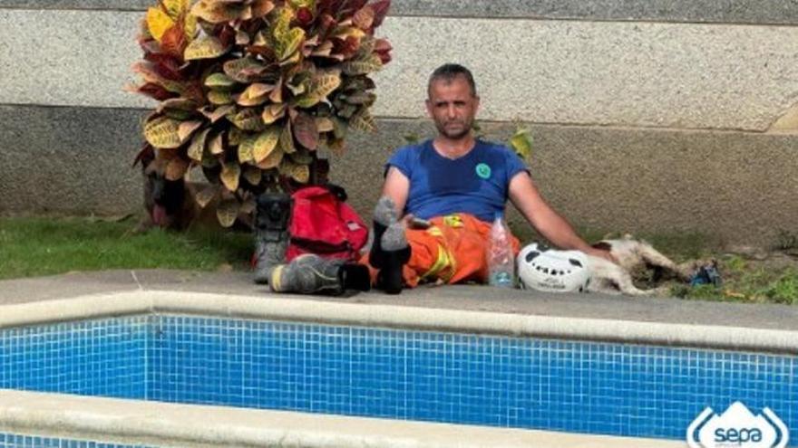 VÍDEO: Así trabajan los perros de rescate de Asturias en el terremoto de Venezuela