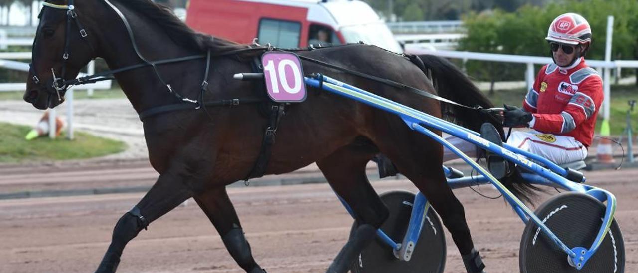 Trébol, con Biel Pou, en el hipódromo de Cagnes Sur Mer, el 13 de marzo antes de disputar el ´Critérium de Vitesse´.