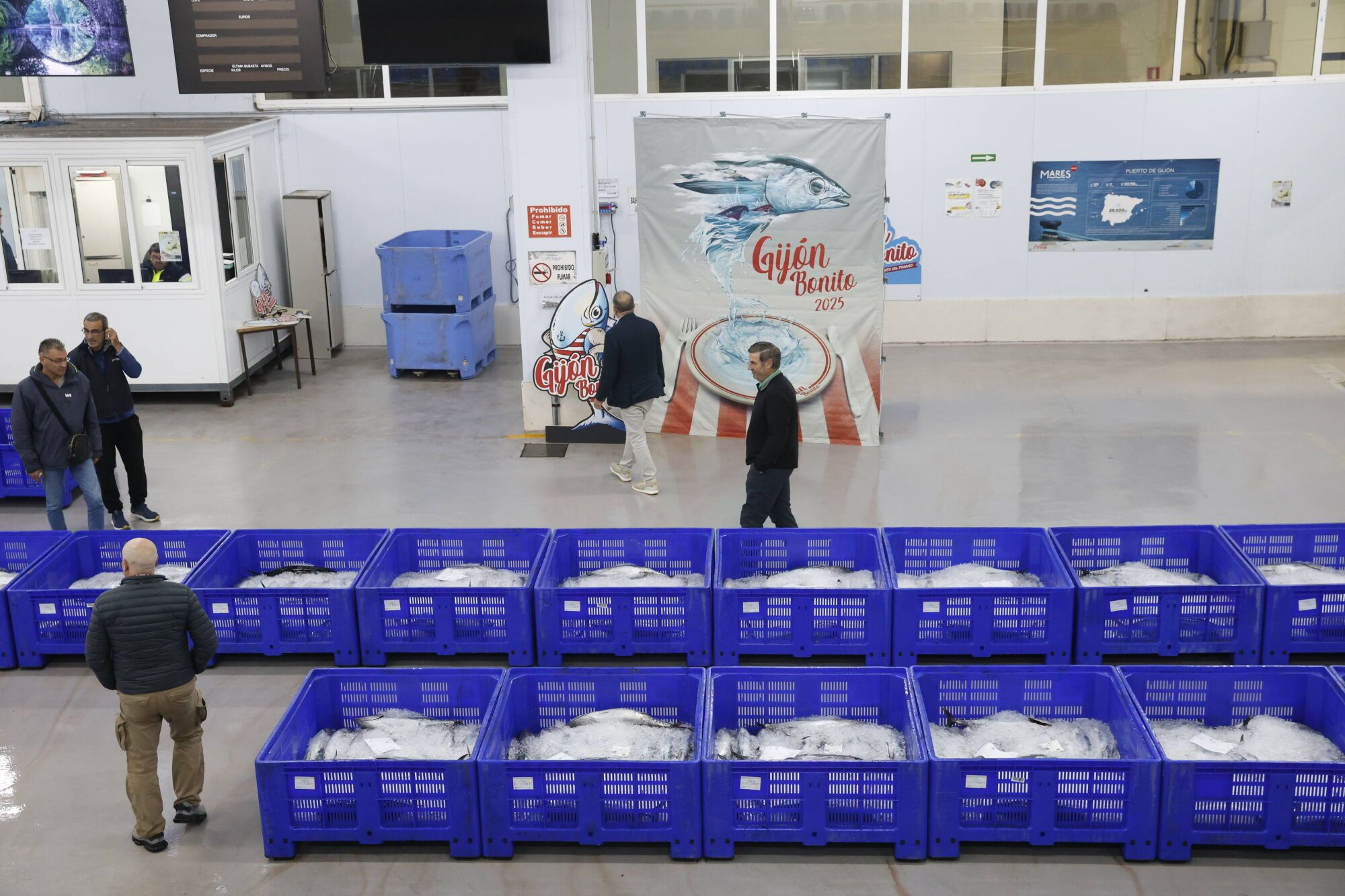 EN IMÁGENES: La campaña de bonito arranca en la lonja de Gijón con una descarga de 2.800 kilos: "El pescado está cambiando las rutinas"