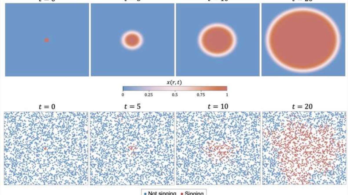 La predicción matemática muestra que el canto se propaga por el paisaje como una onda viajera.