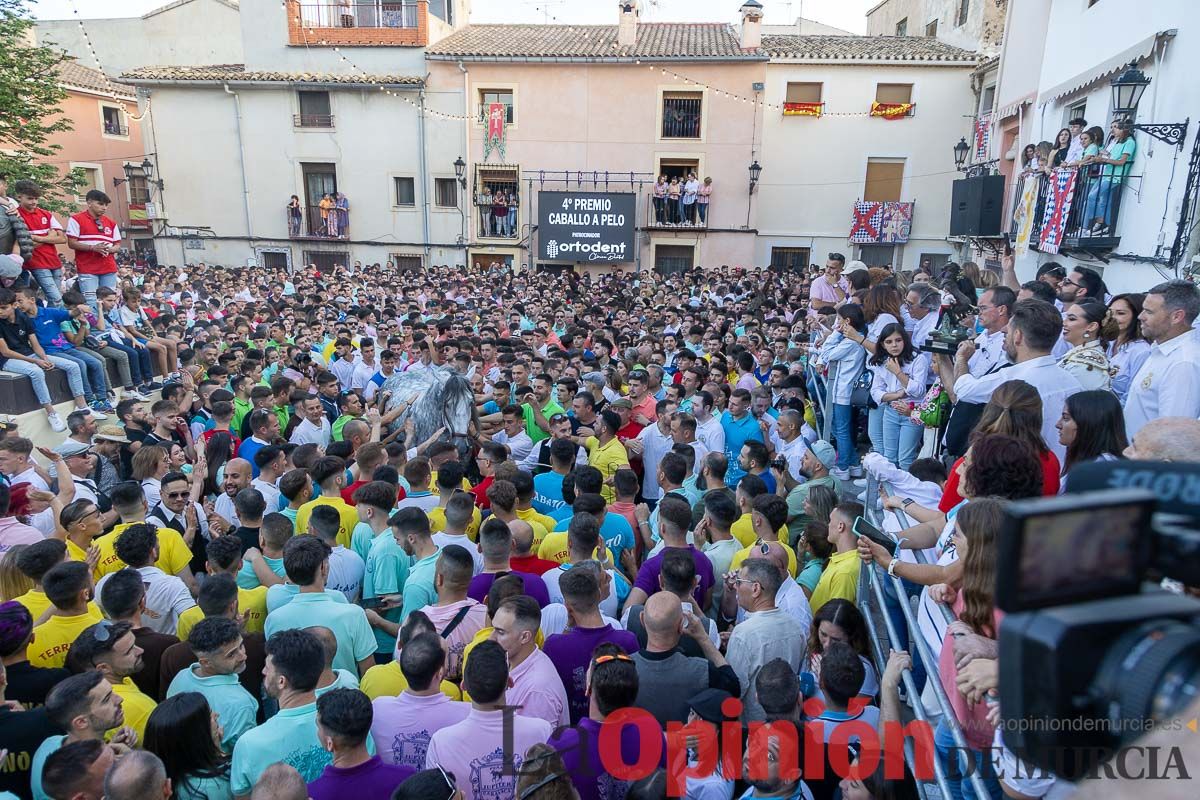 Entrega de premios del concurso morfológico de los Caballos del Vino de Caravaca