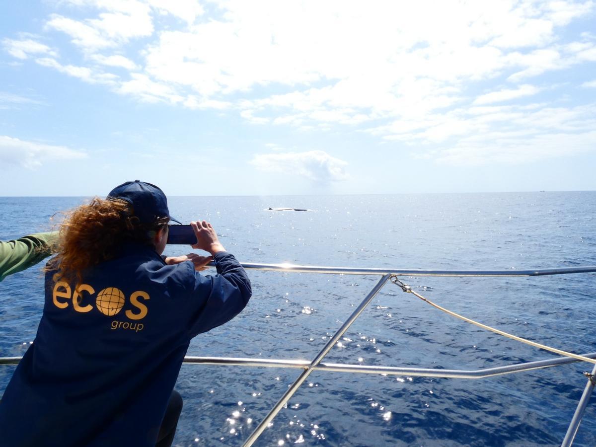 Una trabajadora de Ecos.