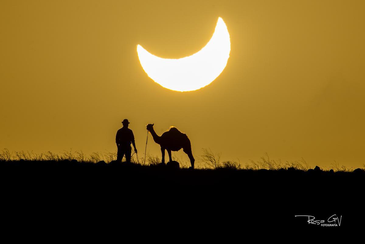 Eclipse solar con camello en Lanzarote