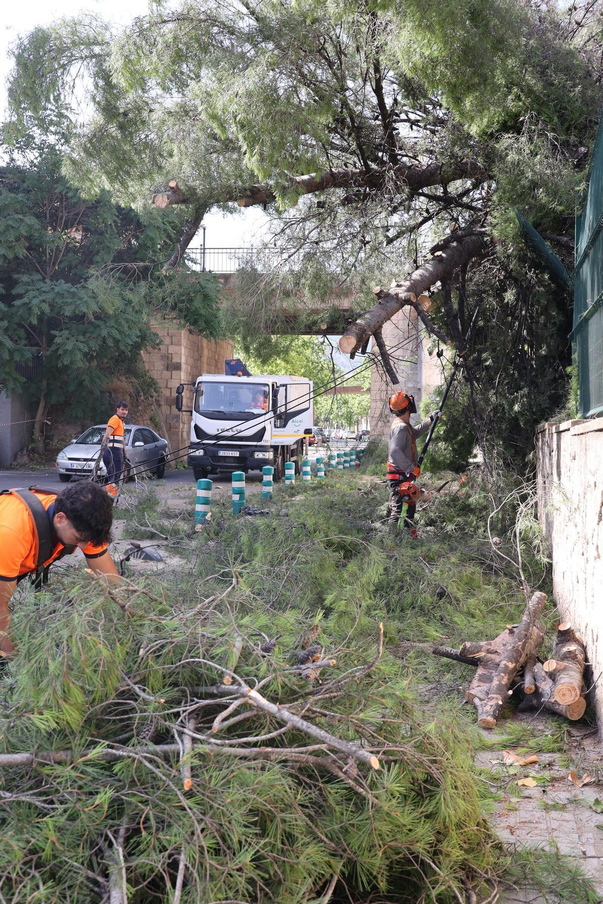 Imágenes del día después en Alcoy tras el temporal