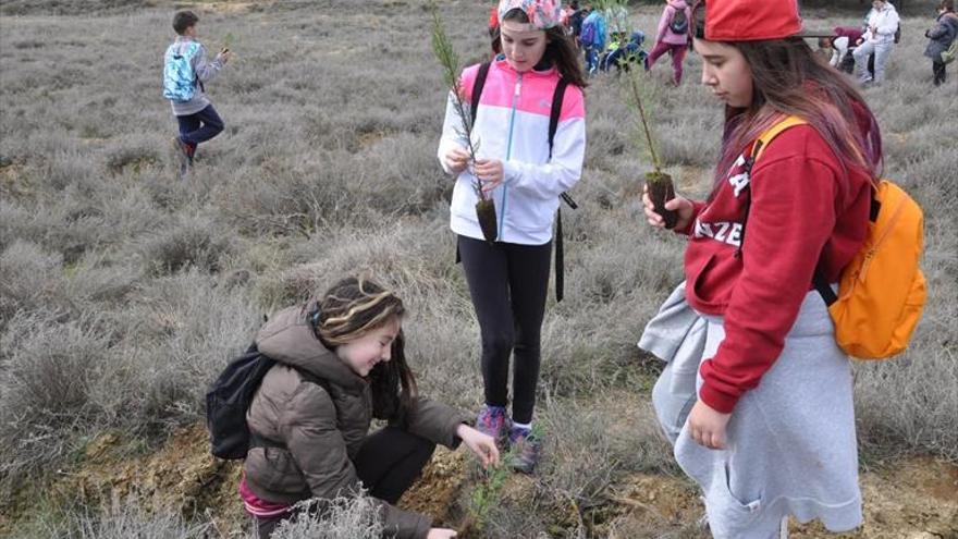 Día del árbol 2018 en Ejea