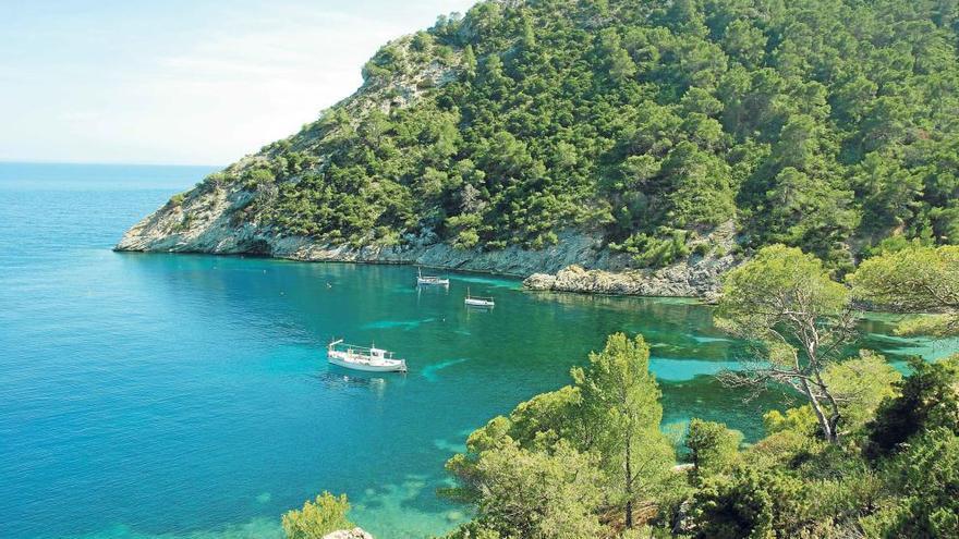 Los ´llaüts´ están fondeados en la cala, al pie de la mole del Cap Llentrisca.