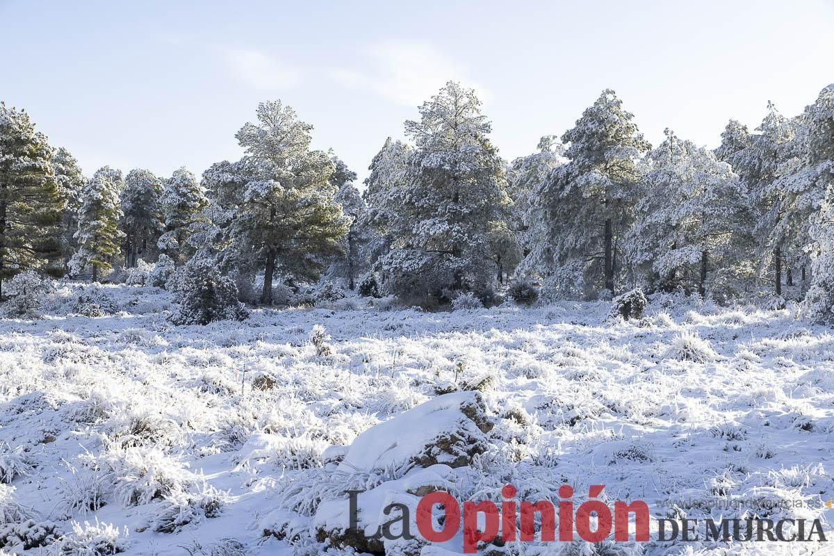 Descubre dónde queda acumulación de nieve en la Región de Murcia
