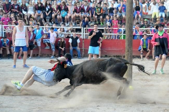 Les vaquetes de la festa major de Santpedor