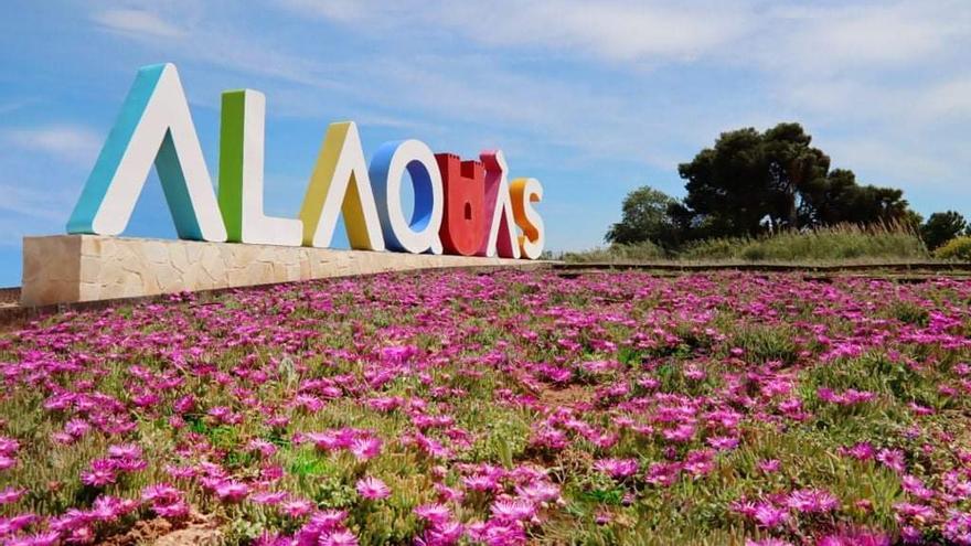 Jardín floral en Alaquàs