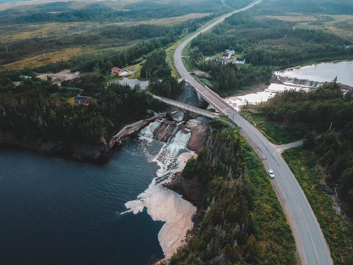 Irish Loop, Terranova y Labrador