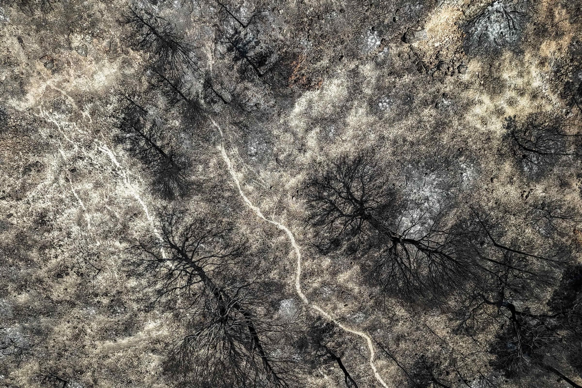 Les fotos de l'incendi de Paüls a vista de dron