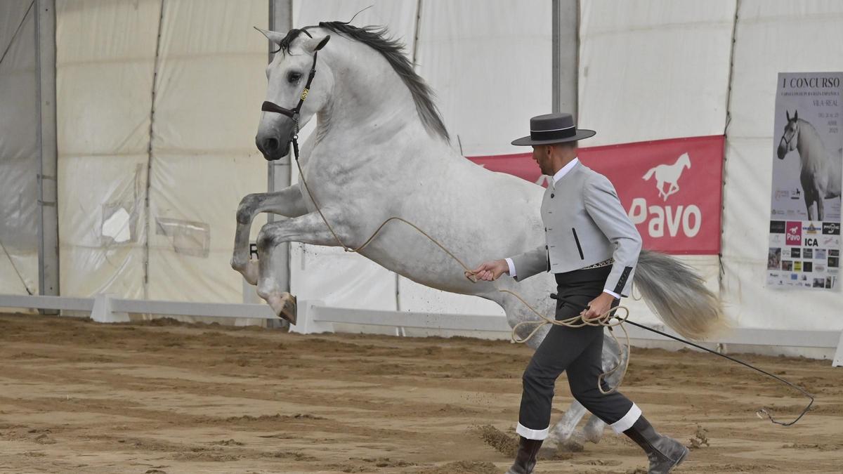 Foto de archivo de la primera edición del concurso de caballos de pura raza, en abril del 2023.