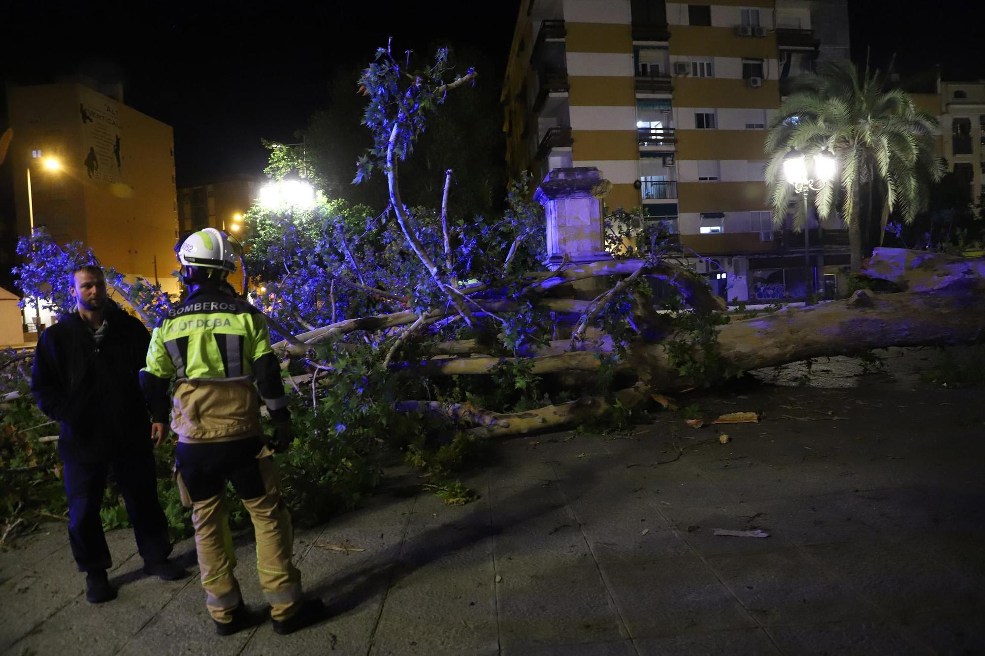 Los efectos del temporal en Córdoba, en imágenes