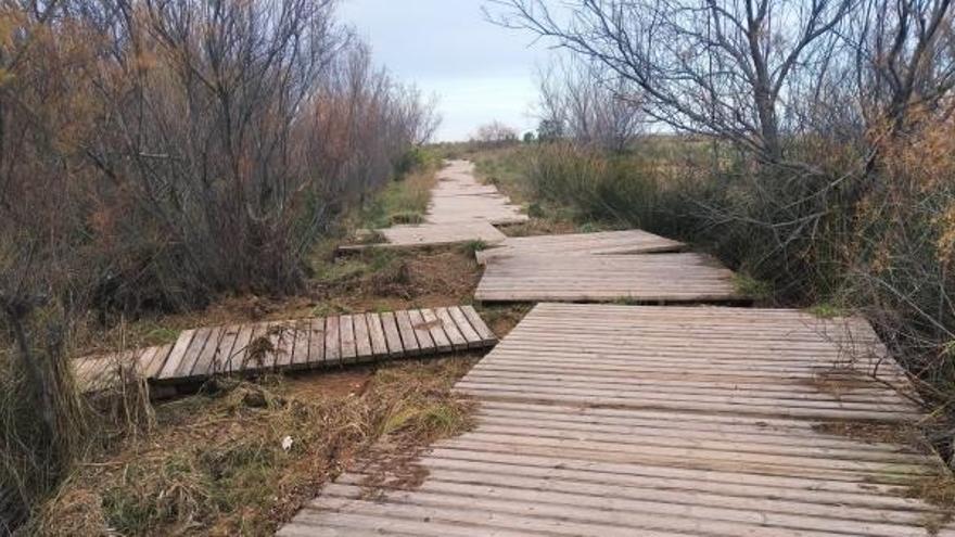 Lo que Gloria se llevó para siempre: la pasarela ilegal que chafó las dunas de Dénia