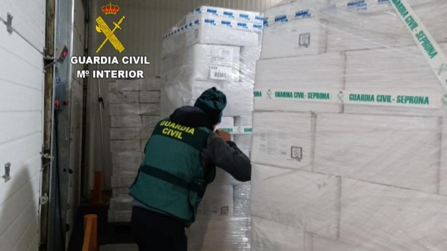 Trece implicados y 270 toneladas intervenidas en Vigo y otras localidades de Pontevedra por comercializar de forma ilegal productos del mar congelados