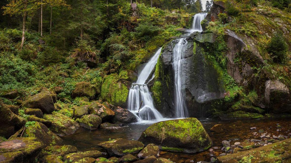 La Selva Negra, el secreto encanto del sur de Alemania